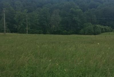 Teren intravilan 4.506 mp-Cheia, Maneciu, Prahova | Deschidere DN1A si Telejean - 3