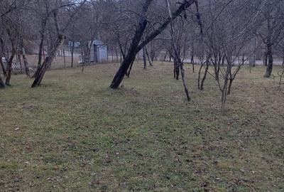 Teren de 2000 mp, în Ocina de Sus - 2