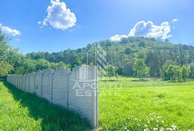 Teren intravilan, partial imprejmuit, eligibil grant- Poj... - 6