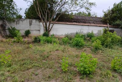 Vladiceasca, Snagov - 4