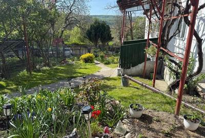 Casă cu 4 camere cu Teren 4000 Mp în Valea Popii (Mihăești) - 6
