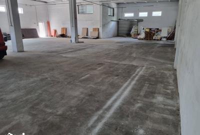 Spațiu comercial, de 656 mp, în Depozitelor - 6