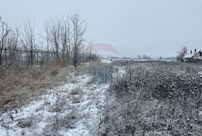 Teren 7,200mp Bodestii de Jos / Strada Bodesti - 4