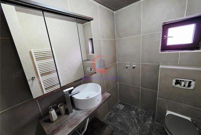 Vila, Cerneteaz, Teren Generos, Casa de Oaspeti, Beci, Garaj - 20