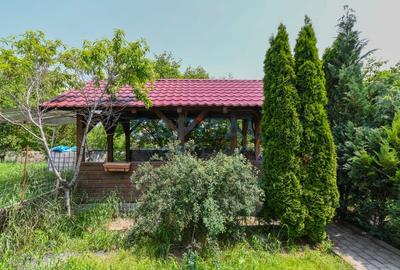 Casa pe 3 niveluri+teren 3650mp, loc Comsesti, zona Lacurile Martinesti - 4
