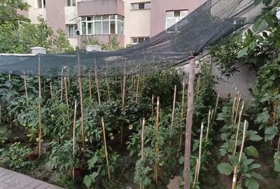 Casă cu Teren 450 Mp în Central - 3