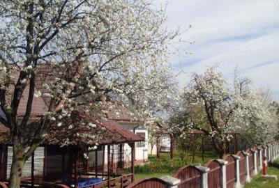 Casă cu 3 camere cu Teren 1000 Mp în Central - 7