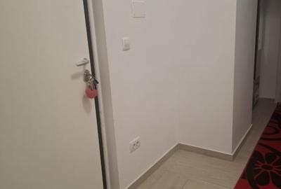 Apartament cu 2 camere decomandat, mobilat în Tătărași - 9