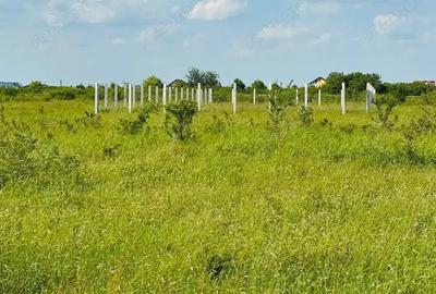 MT219 Teren intravilan Rudicica, 551mp - 1