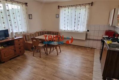 Casă cu 3 camere în Ampoița - 7