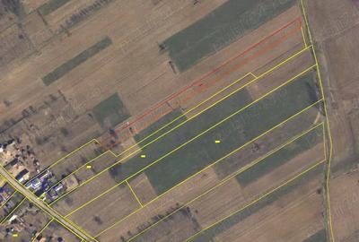 Casă cu Teren 6600 Mp în Central - 3