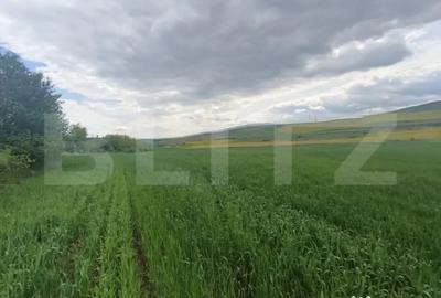 Teren de 52600 mp, în Unirea - 2