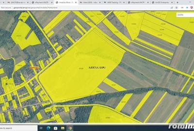 Teren de 500000 mp, în Borăscu - 3