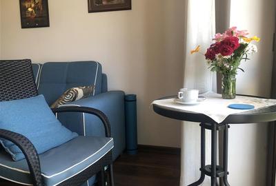 Apartament cu 2 camere decomandat, mobilat în Cernatu - 14