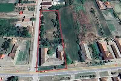 Casă cu 8 camere cu Teren 1250 Mp în Cenad - 8