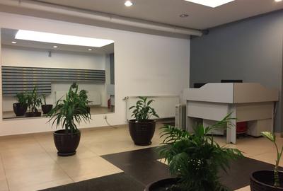 Studio lux, Iancului, zona case, direct proprietar. - 2