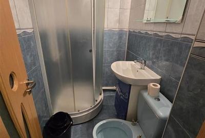 Etaj 1 - Nicolina , garsoniera mobilata, libera - 7