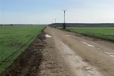 RECO teren extravilan Les , putin peste 2 /mp - 1