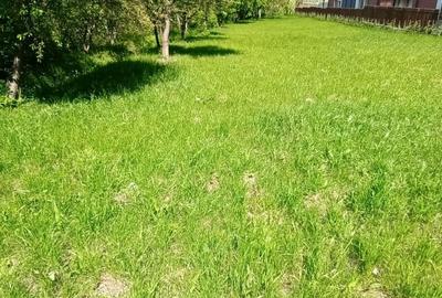 Casă individuală cu 9 camere cu Canalizare în Bună Ziua - 8