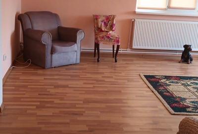 Casă cu 4 camere în Mărunțișu - 3