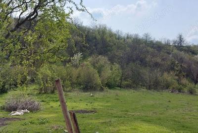 Teren de 3100 mp, în Axintele - 2