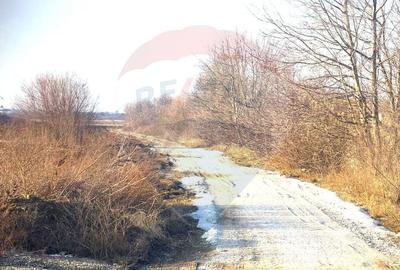 Teren agricol extravilan de 4956 mp, în Letea Veche - 9