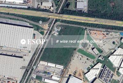 Teren industrial, 2,5 ha, deschidere 75m, Chiajna, A1, DNCB- ID 15466 - 4