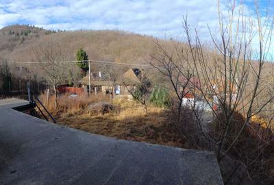 Casă cu 3 camere în Central - 8