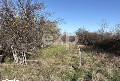 Teren de 2200 mp, în Moșoaia - 5