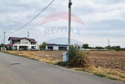 Vanzare Teren Balotesti / Strada Lacul Vlasia - 7