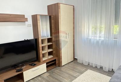 Apartament cu 2 camere de lux in Micalaca cu loc de parcare - 3