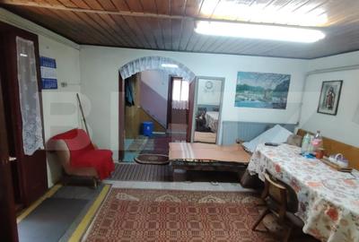 Cabana 5 camere Salard - 13