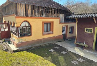 Casă cu 4 camere în Priboaia - 6