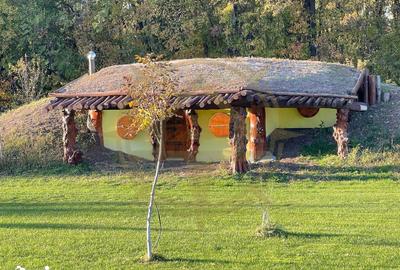 Casă cu 9 camere cu Piscina în Grădiștea - 19