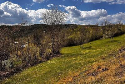 Teren de 2350 mp, în Surani