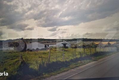 Spațiu comercial, de 3,000 mp, în Măieruș - 5