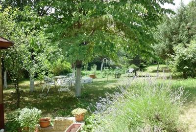 Casă cu 5 camere cu Teren 1922 Mp în Ciofliceni - 16