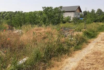 Teren 500 mp, Domnesti, str. Salciei - 2