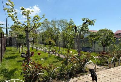 Casă cu 3 camere cu Teren 900 Mp în Lascăr Catargiu - 8