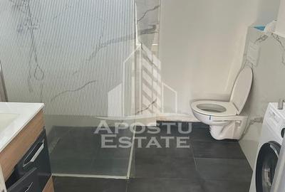 Doua apartamente la curte comuna , zona Iosefin - 7