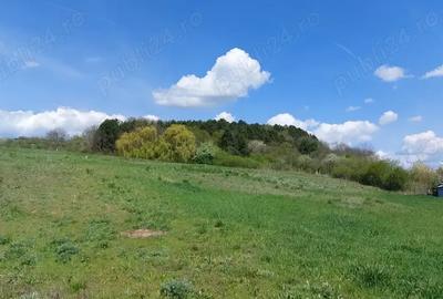 Teren în Nord - 1