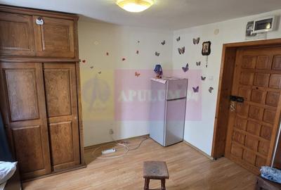 Garsoniera de vanzare in Campina, et. 1  – 15,83 mp - 1