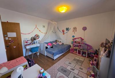 Dristor, Camil Ressu, 15 minute metrou, pe strada Ilioara - 8