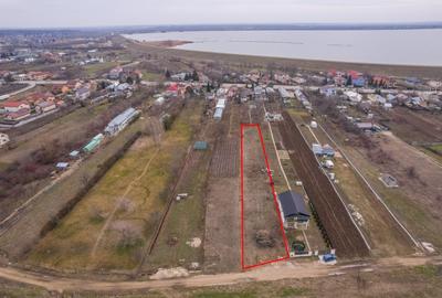 Teren Construcții intravilan de 1293 mp, în Cornetu - 1