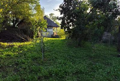 Casă cu 2 camere în Pietrari - 10