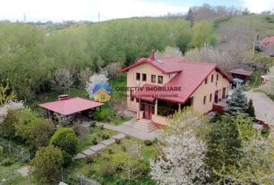 Casă individuală cu 4 camere cu Garaj în Gura Văii - 2