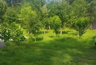 Casa de vacanta pe valea Avrigului - 8