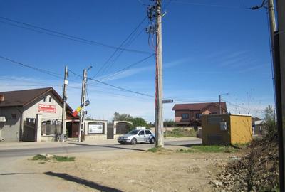 Domnesti Teghes-Padurarului - 3