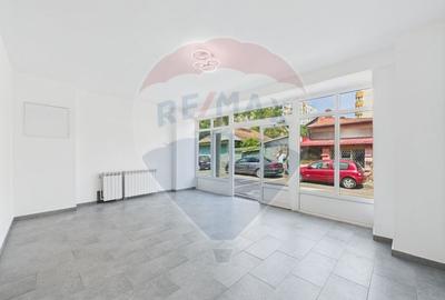 Casă individuală cu 8 camere cu Teren 81 Mp în Rahova - 3