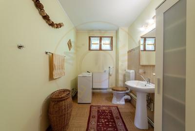 Casa rustica P+1 in zona de deal - Bogati, AG - 14